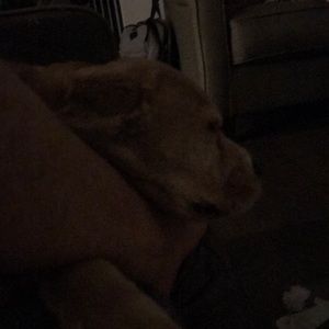 Meet your Posher, Daryl